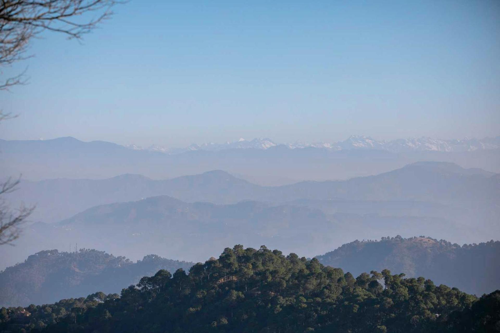 Stayvista At Padam Hill- Pet Friendly Villa With Garden Kasauli Luaran gambar